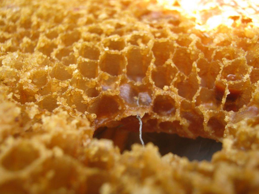 Состав воска пчелиного химический: в состав воска входят