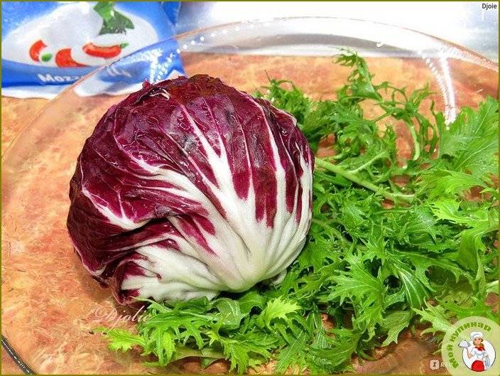 Салат радичио – пряный и полезный овощ, из которого готовят разнообразные вкуснейшие салаты: рецепты с фото и видео