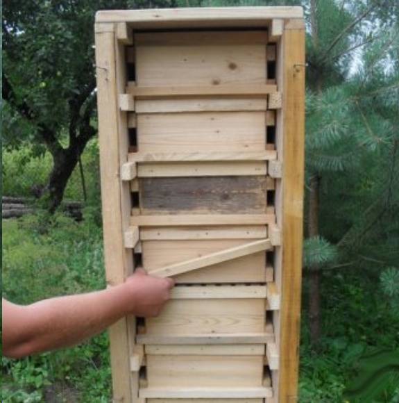Пчеловодство: безроевое содержание пчел