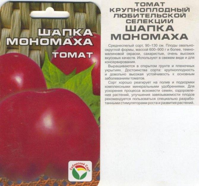 Описание томата «шапка мономаха» и его выращивание