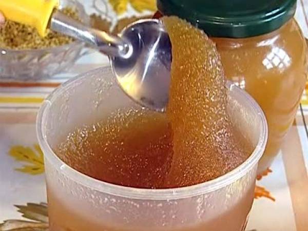 Как правильно употреблять мед с пользой — 10 простых правил