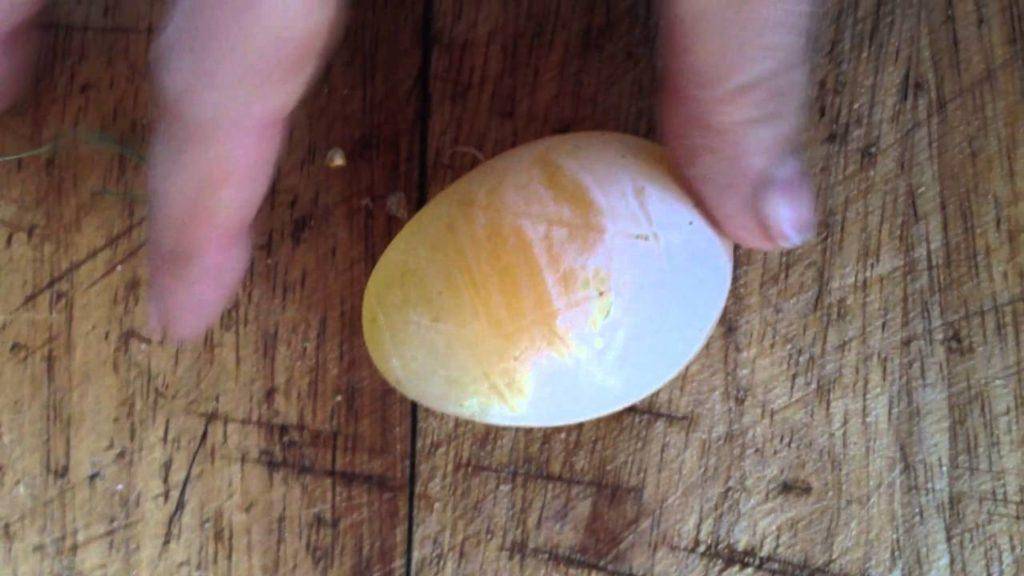 Почему куры несут яйца без скорлупы, в пленке и что делать?