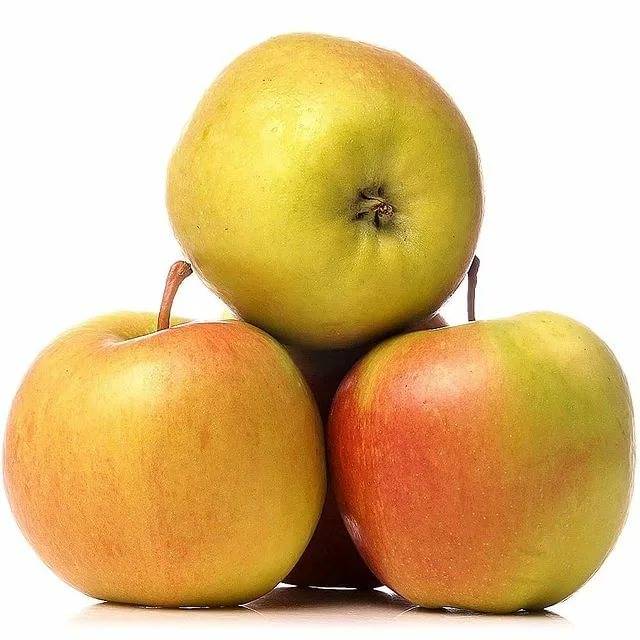 Характеристика и описание сорта яблони лигол