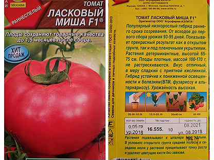 Топ-10 лучших ранних сортов низкорослых помидор для открытого грунта