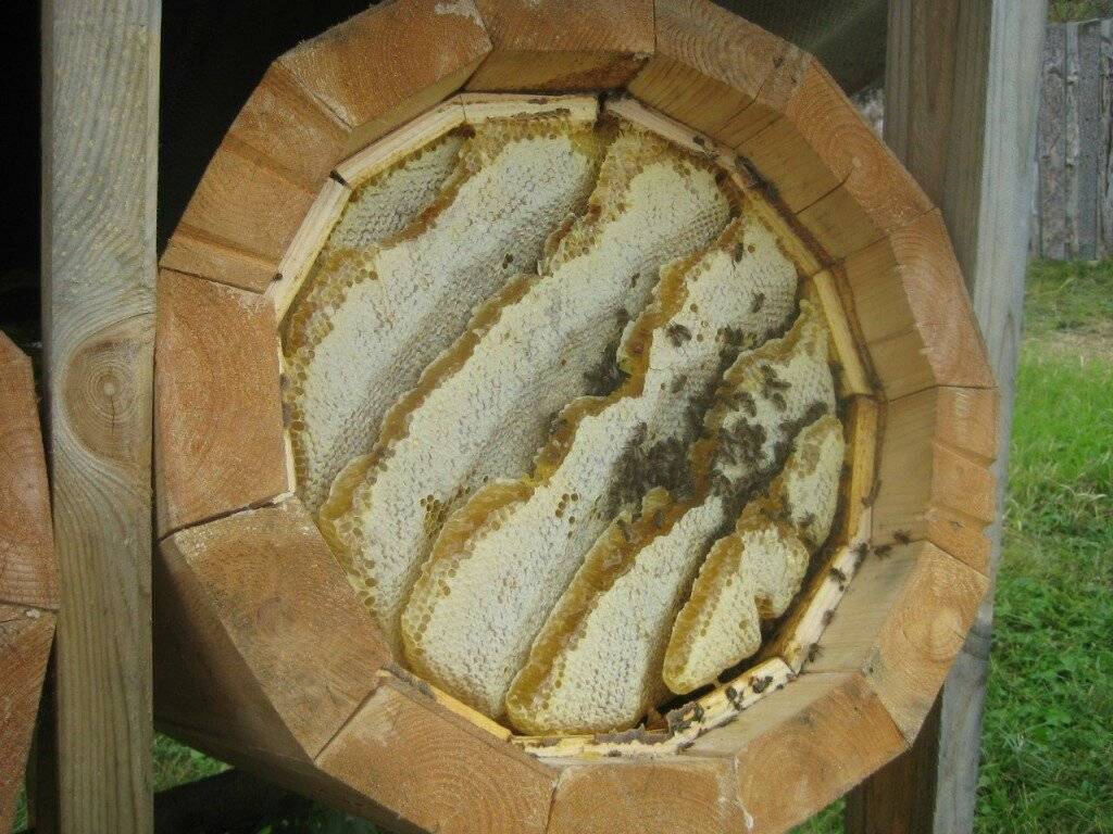 Медовуха - приготовление в домашних условиях из старого меда