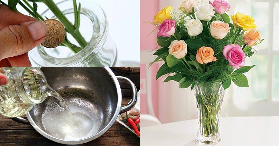 9 советов, как дольше сохранить букет цветов в вазе с водой