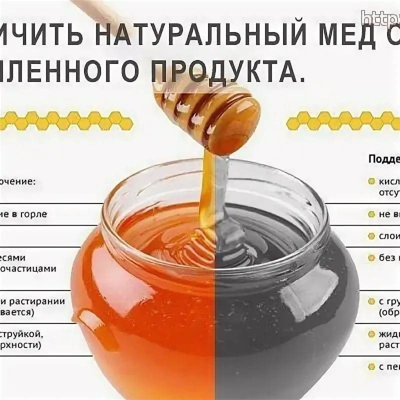 Проверка мёда на натуральность