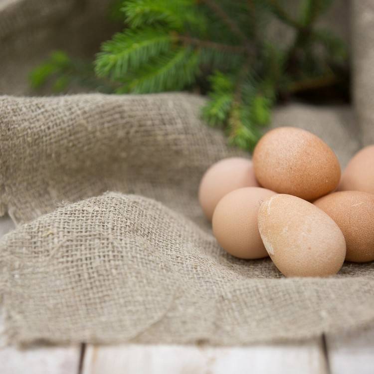 Яйца цесарки: полезные свойства, в чем вред, как употреблять, калорийность