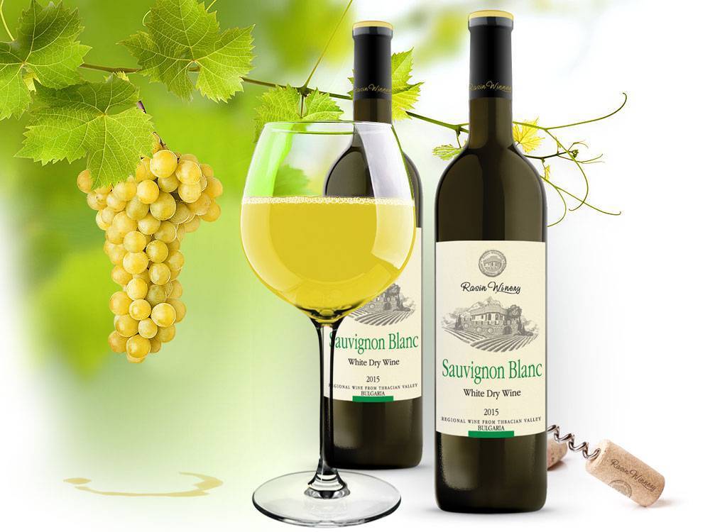 Шардоне – лидер в производстве шампанских и белых марочных вин