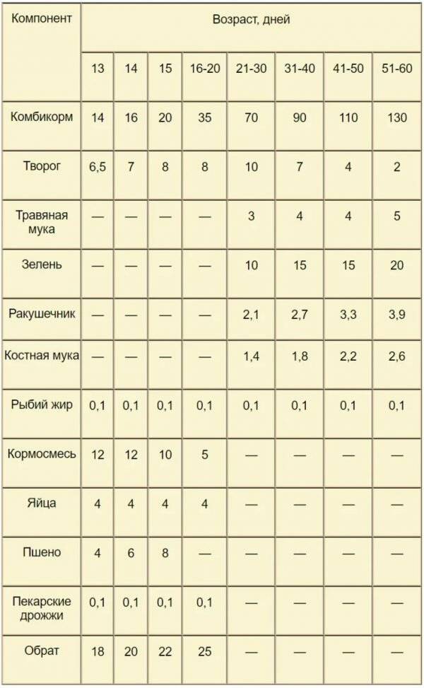Об уходе и выращивании индюшат от 0 до 4 месяцев: содержание в домашних условиях