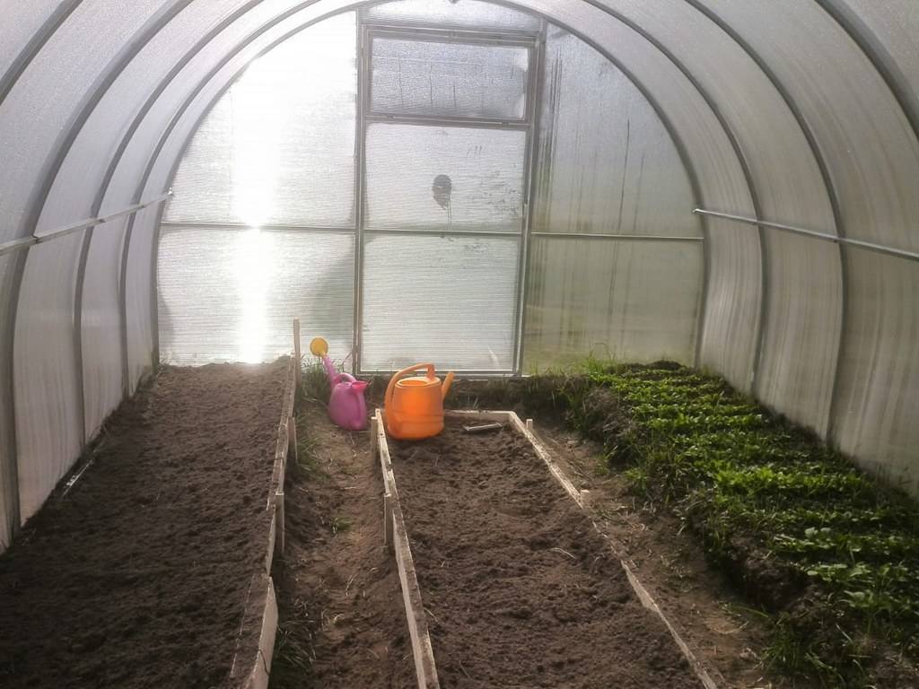 Подготовка почвы под помидоры в теплице