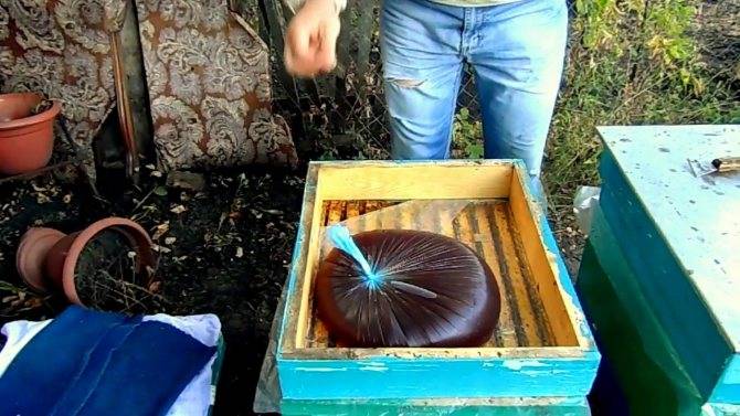 Подкормка пчел осенью сахарным или цветочным сиропом, рецепты с фото и видео | россельхоз.рф