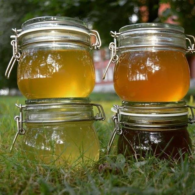 Медовуха из старого или забродившего меда: рецепты