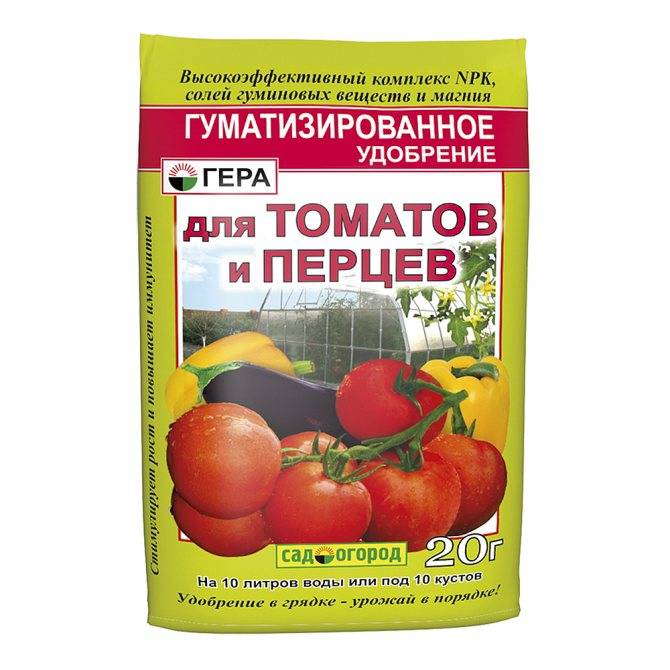 Чем подкормить помидоры после высадки в теплицу из поликарбоната