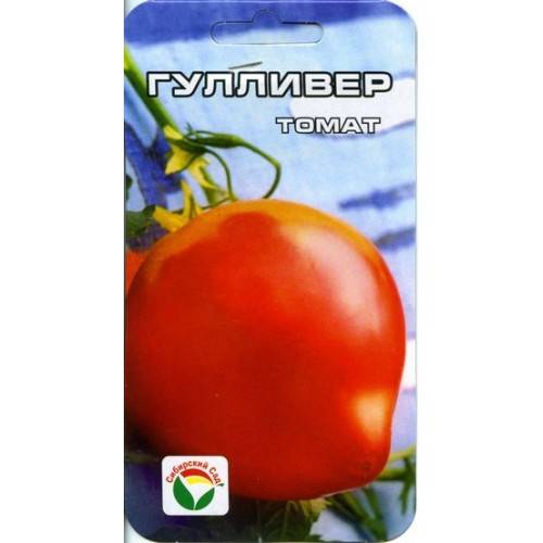 Томат «гулливер» - отзывы, фото помидоров, характеристики и описание сорта