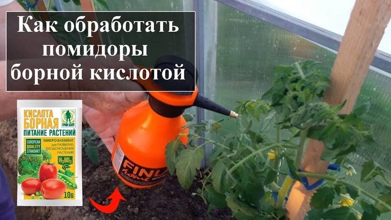 Борная кислота: применение в садоводстве, признаки нехватки бора у растений
