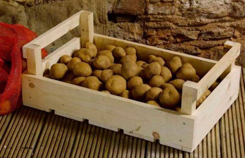 Где и как хранить картошку в квартире, чтобы клубни не портились и сохраняли питательную ценность