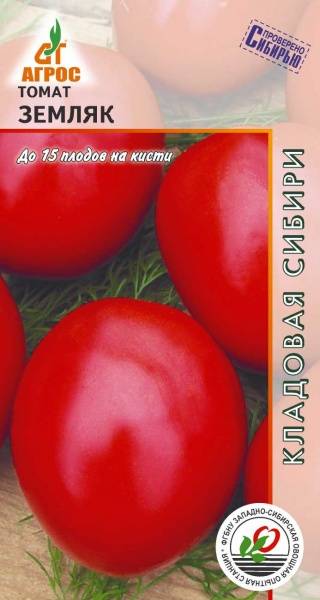 Характеристика, описание и выращивание помидор сорта земляк