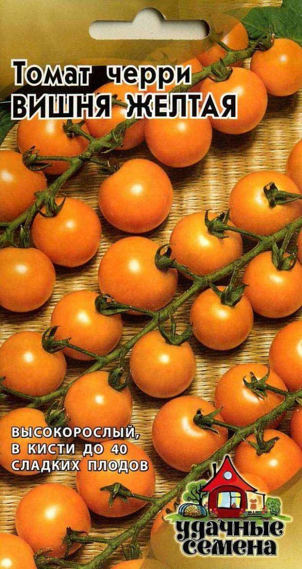 Знаменитость среди помидоров черри — томат вишня желтая: описание сорта и особенности его выращивания