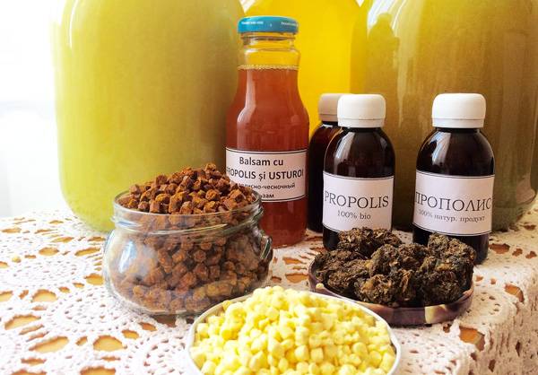 Торговля мёдом как бизнес в 2021 году – biznesideas.ru