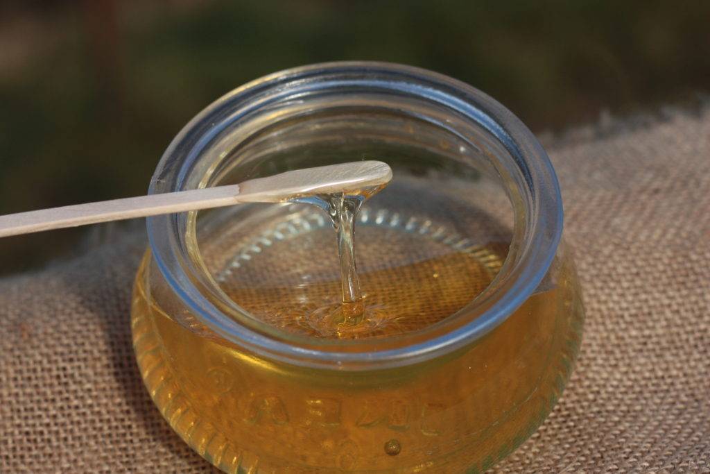 Кипрейный мед, свойства и противопоказания, как отличить подделку