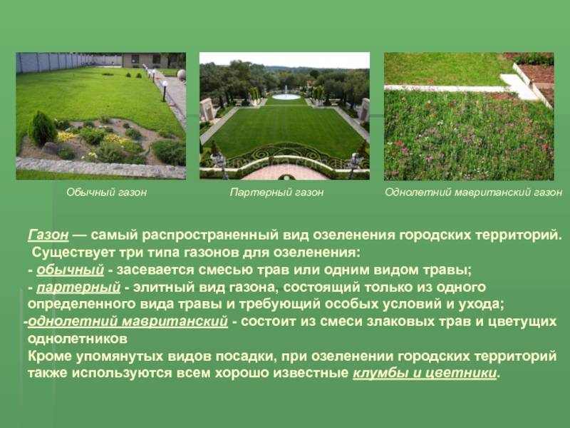 Разные газоны для разных целей — луговой, садово-парковый, партерный, спортивный, мавританский газоны
