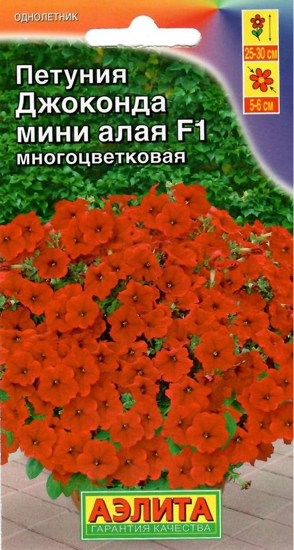 Многоцветковая стелющаяся каскадная петуния джоконда: разведение уход и размножение