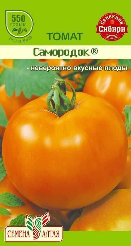 Как ухаживать за помидорами: особенности, инструкции и пошаговый мастер-класс по уходу за томатами (135 фото)
