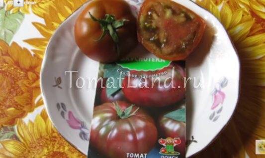 О томате Зефир в шоколаде: описание сорта, характеристики помидоров, посев