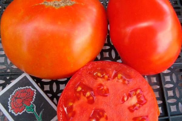 Топ - 10 лучших сортов помидоров от фермерского хозяйства «самарские семена»