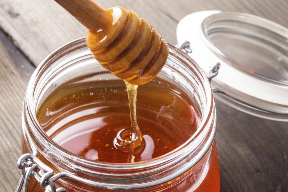 Донниковый мёд - описание. цвет. полезные свойства. рецепты - медовый сундучок