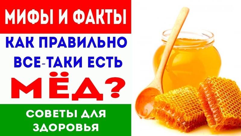 Не диетический продукт: нутрициолог рассказала о спорных свойствах меда