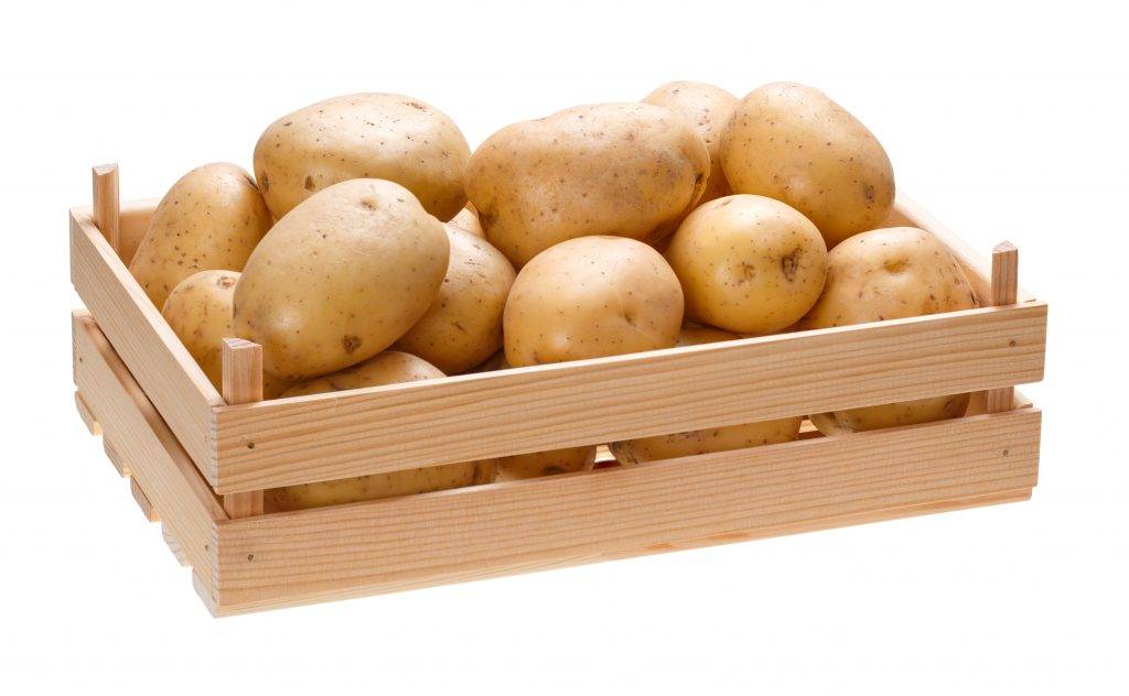 Как правильно и при какой температуре хранить картофель