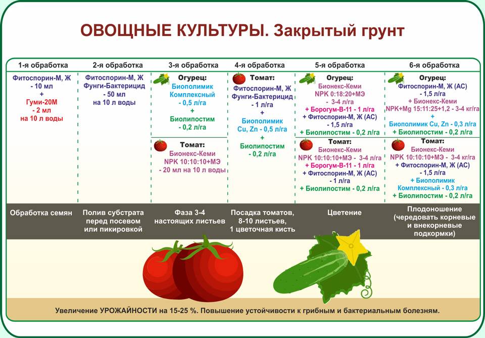 Какие удобрения необходимы при посадке томатов в теплицу: что вносить в грунт