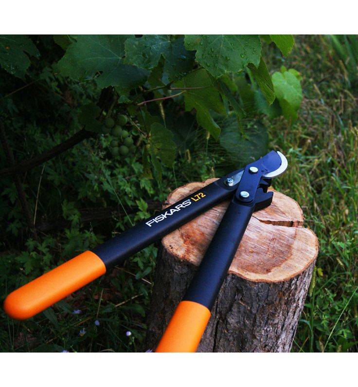 О сучкорезах fiskars – особенности и преимущества финских веткорезов: рассмотрим по полочкам