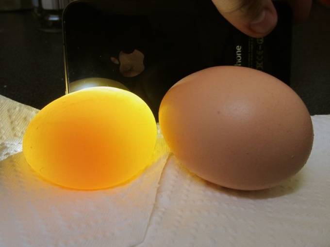 Куры несут яйца без скорлупы: причины и что делать, как лечить