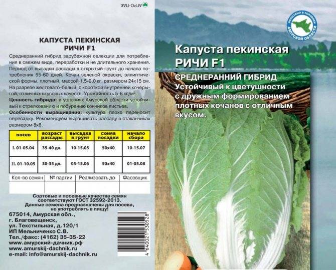 До скольки градусов мороза выдерживает капуста. боится ли овощ заморозков? | дачная жизнь