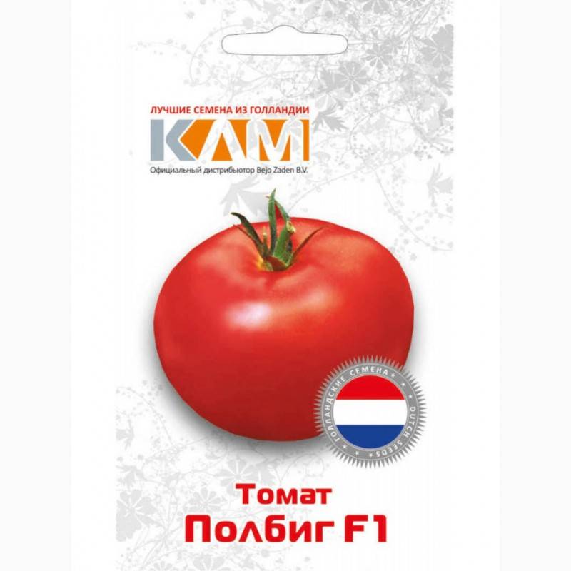 Полбиг f1 – раннеспелый томат из нидерландов. характеристика и отзывы огородников