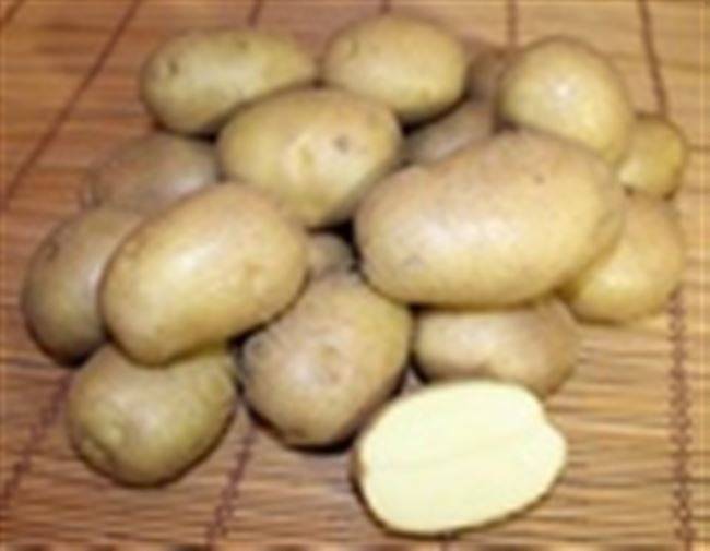 Сорт картофеля никулинский: фото, отзывы, описание, характеристики.