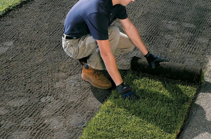 Об искусственной траве для кладбища: описание, руководство ка уложить газон