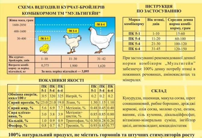 Оптимальные сроки забоя бройлеров. изменение веса и норм кормления в зависимости от возраста самых распространенных цыплят бройлеров