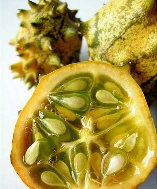 Кивано (рогатая дыня) — что за фрукт, чем полезен, как его едят и как выращивают