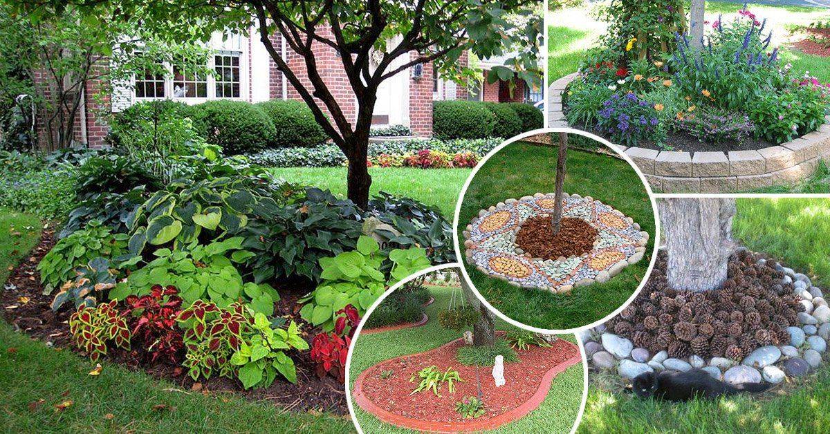 Для чего нужен приствольный круг в саду и как его оформить
