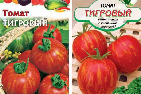 О томате ампельном Тигровом: характеристики сорта, уход и выращивание