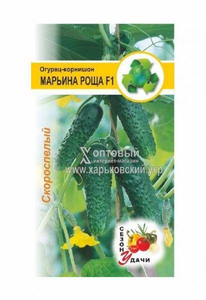 Сорт огурцов марьина роща f1: характеристика, описание с фото, отзывы