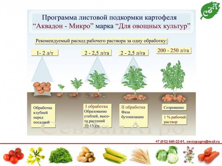ᐉ внекорневая подкормка картофеля после всходов и при цветении - roza-zanoza.ru