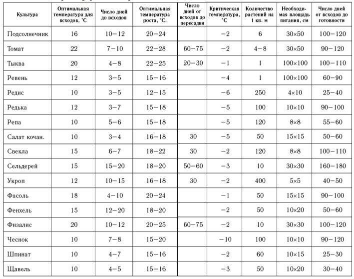 Какой мороз выдерживает капуста на корню | дачная жизнь