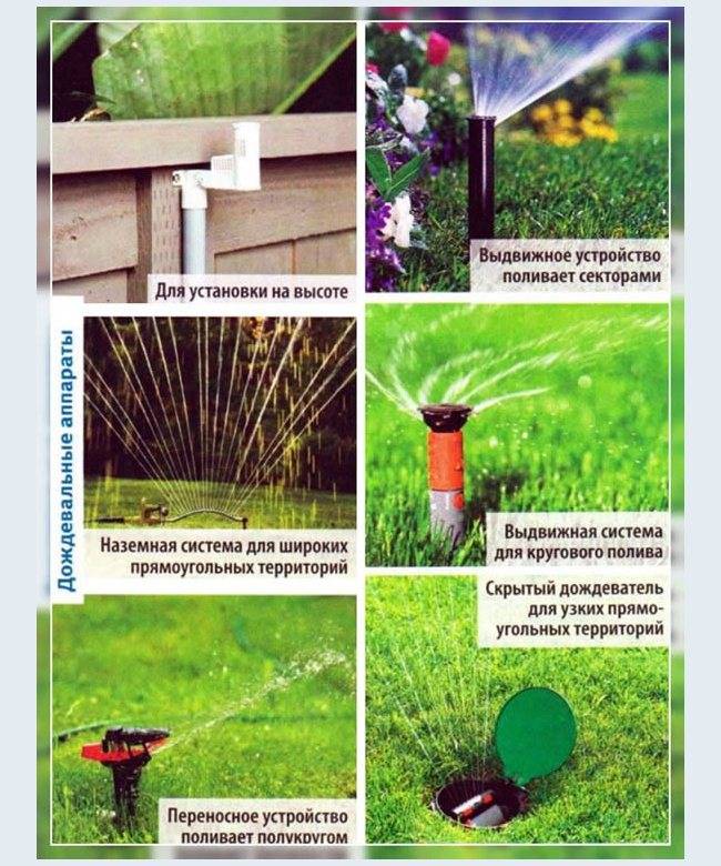 Особенности организации и монтажа системы полива газона: пошаговая инструкция