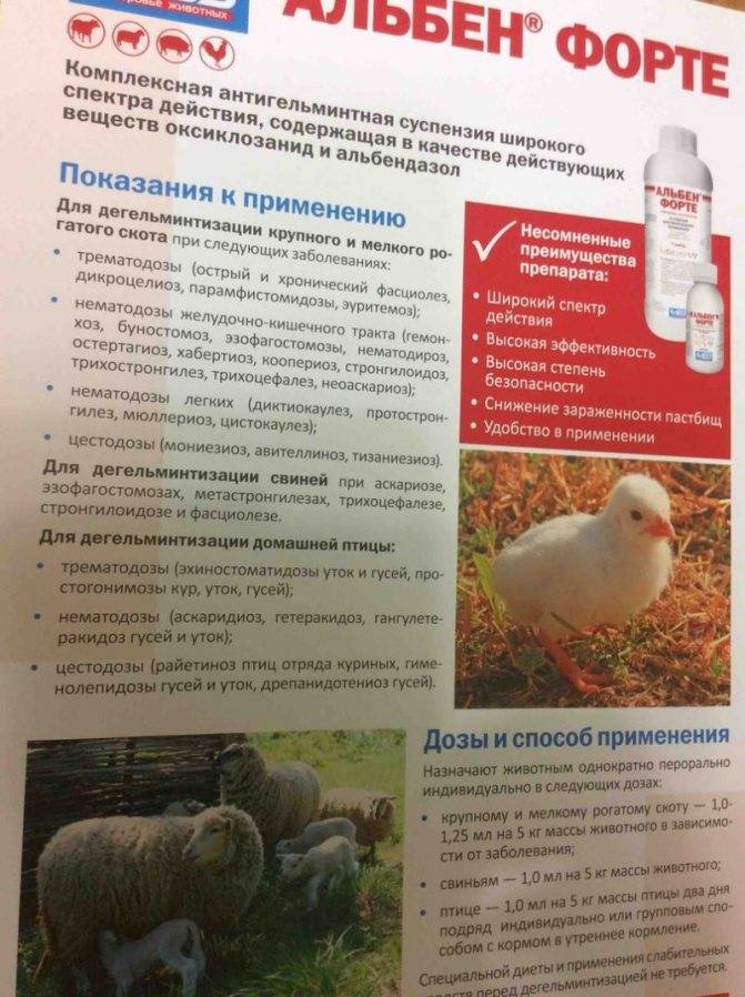 Альбен (таблетки): инструкция по применению в ветеринарии для кур