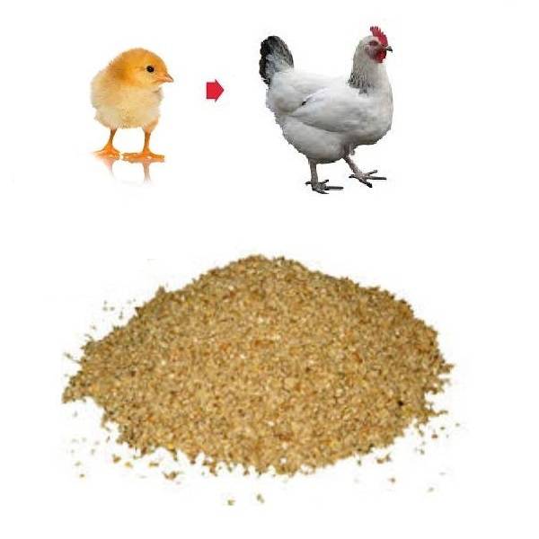 Вида комбикорма при выращивании цыплят-бройлеров для быстрого набора веса: старт, рост, финиш